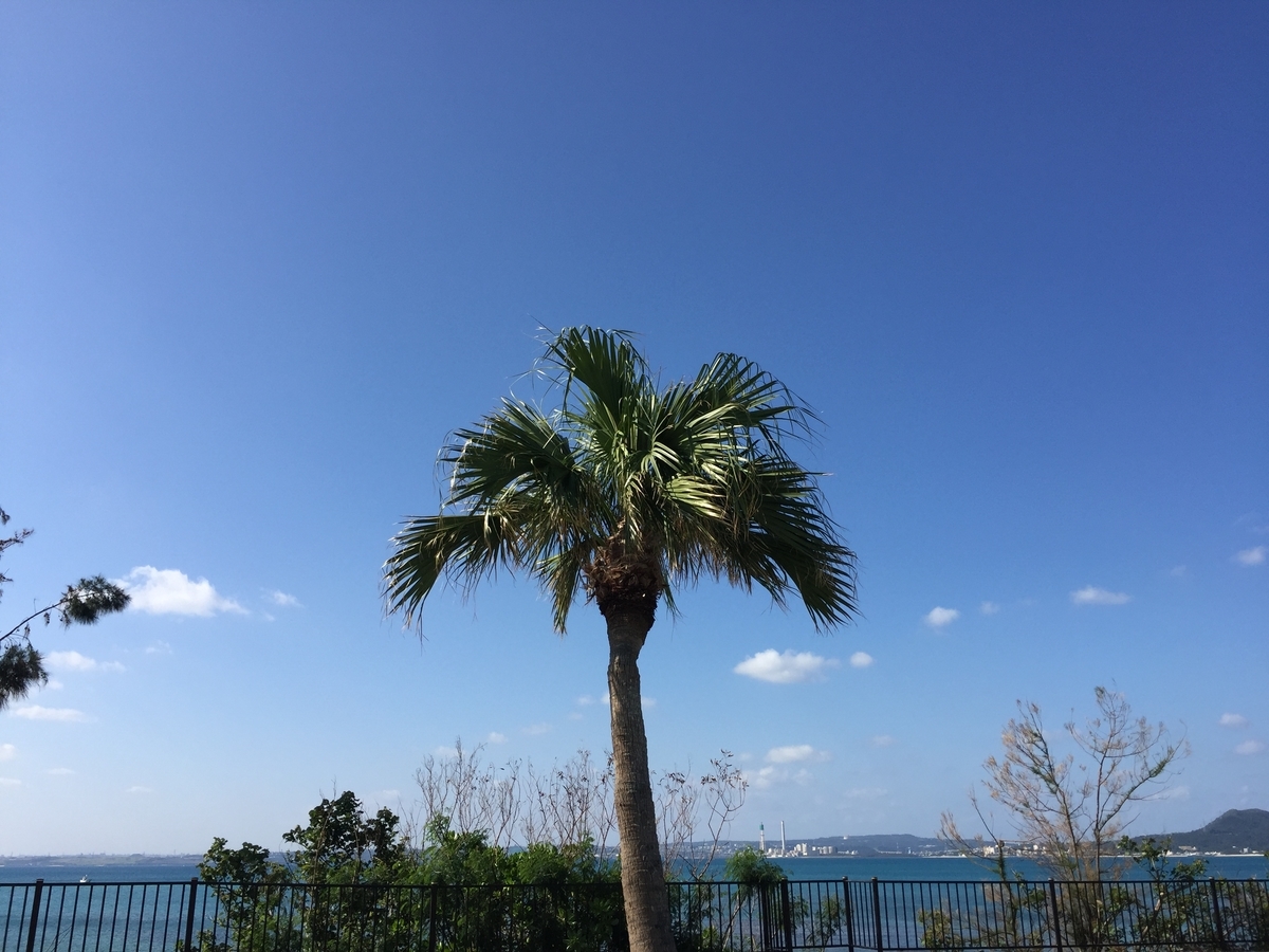 f:id:sakudainaman:20190618180006j:plain f:id:sakudainaman:20190618180006j:plain
