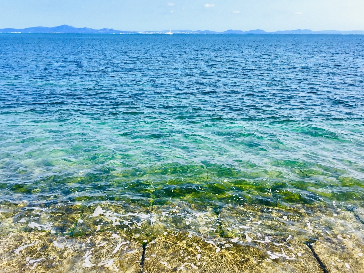 f:id:sakudainaman:20190618180118j:plain f:id:sakudainaman:20190618180118j:plain
