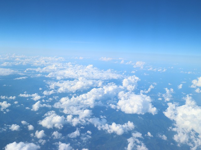 f:id:sakudiary14:20190219080458j:image f:id:sakudiary14:20190219080458j:image