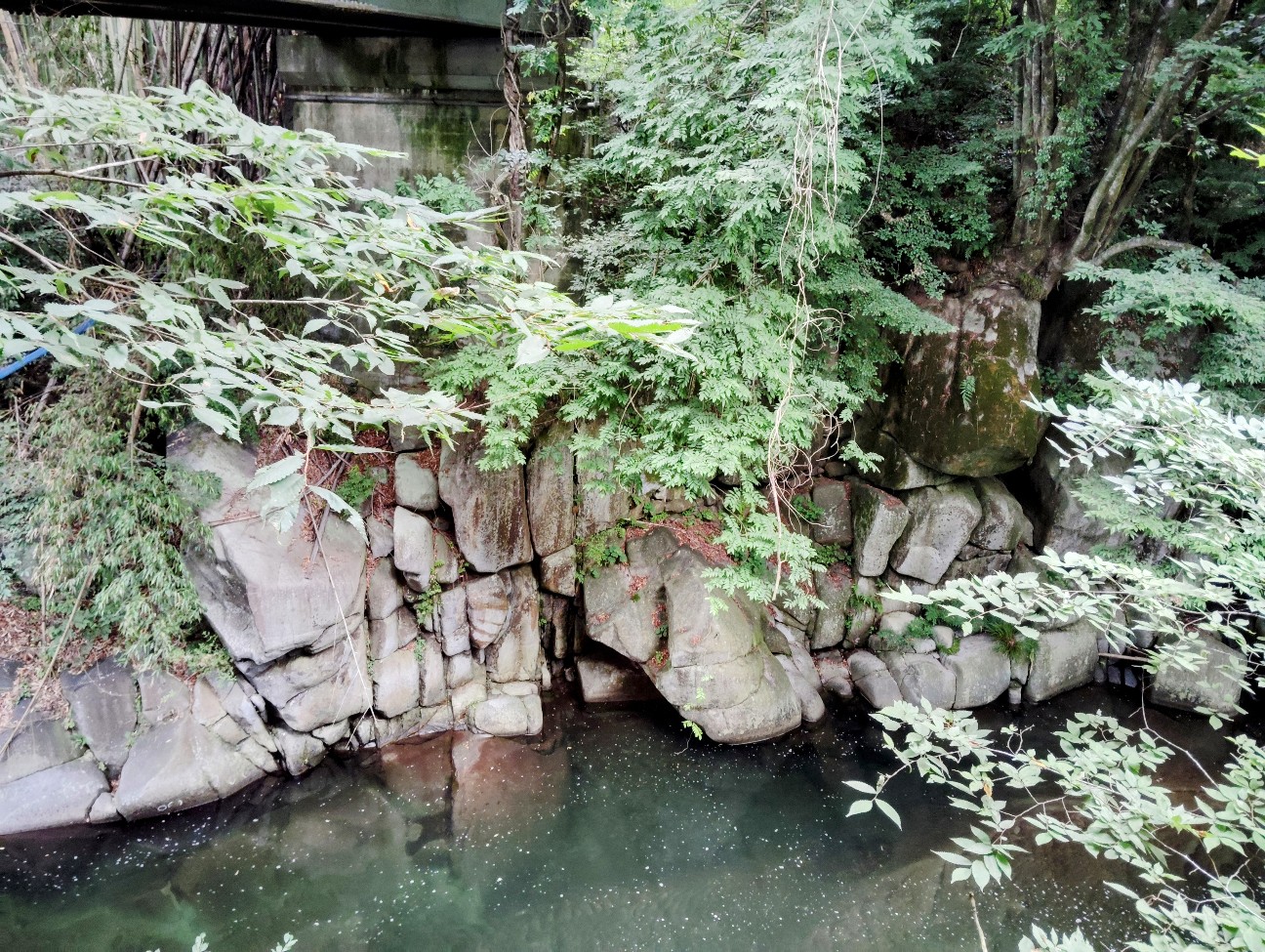 f:id:sakuhirose:20260921215311j:image
