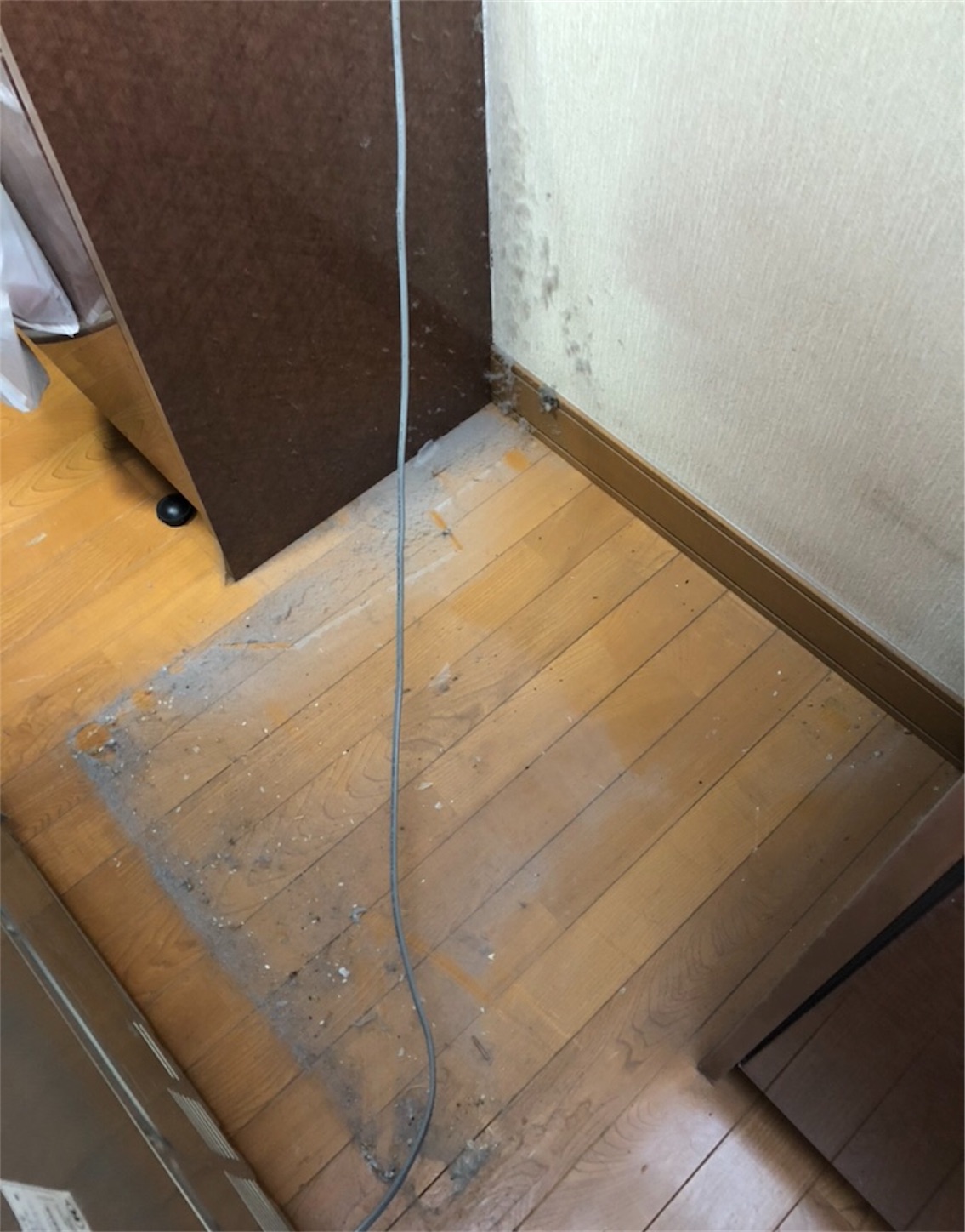 f:id:sakukon:20171212161309j:image f:id:sakukon:20171212161309j:image