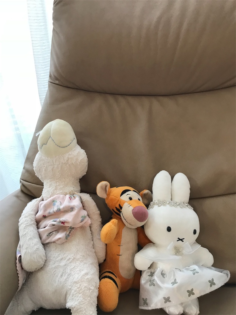 f:id:sakukonoyume:20180811165257j:image