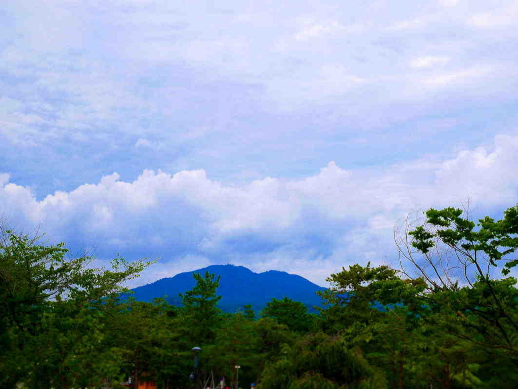 f:id:sakukorox:20180714153304j:plain f:id:sakukorox:20180714153304j:plain