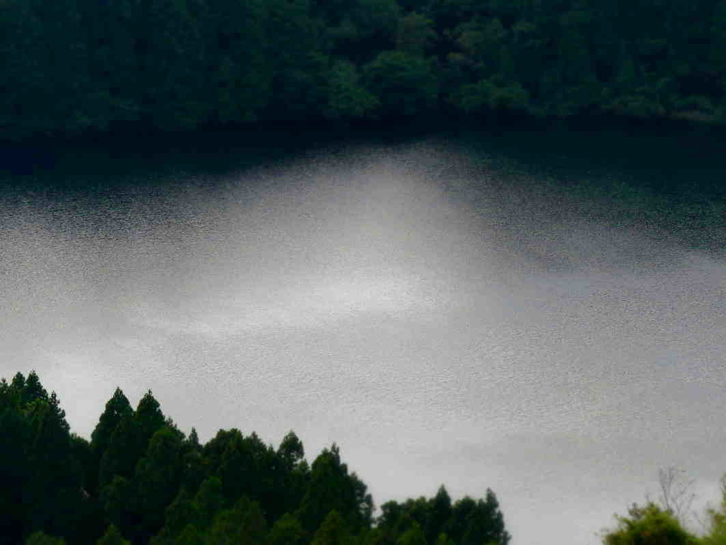 人間的発展のために流れにそった手話と手話通訳者の主体性 第4回全国手話通訳者会議１９７１年 手話 と 手話通訳