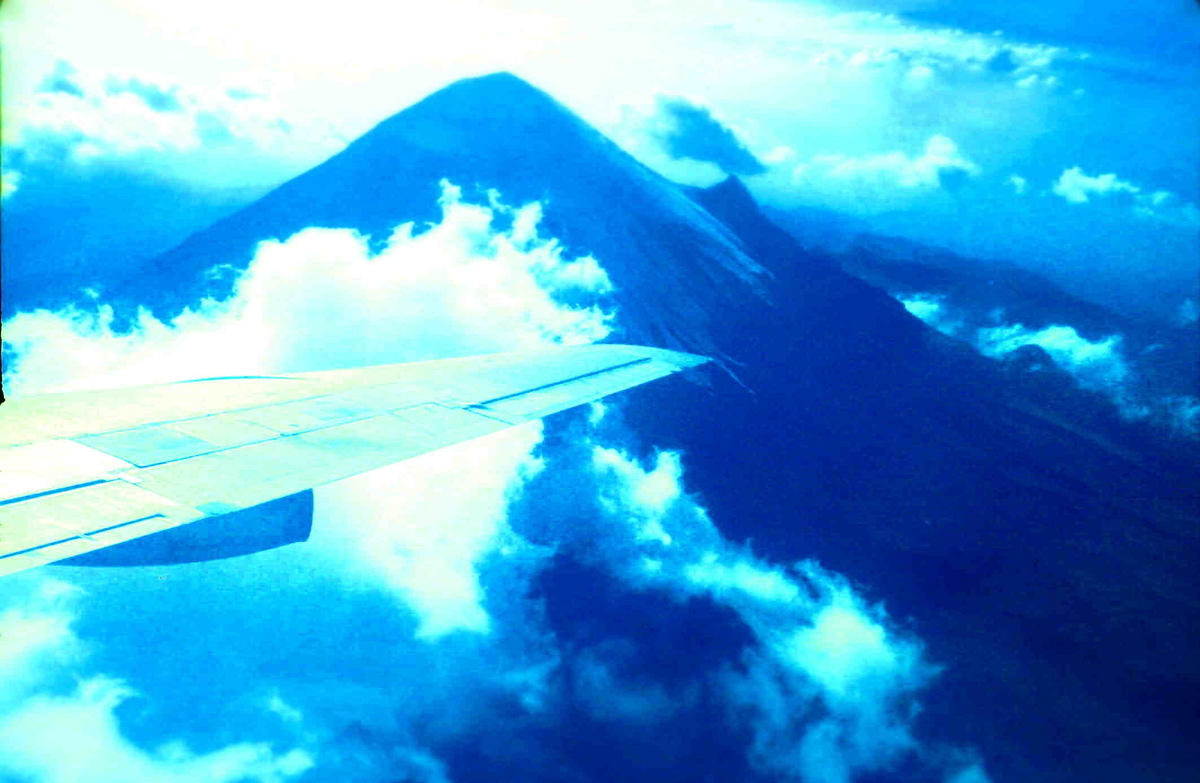 f:id:sakukorox:20210203185942j:plain