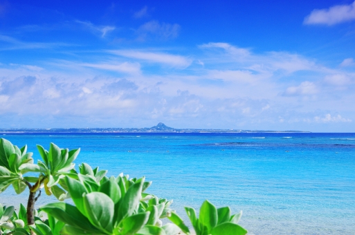 f:id:sakuma-akihiro:20190610101802j:plain f:id:sakuma-akihiro:20190610101802j:plain