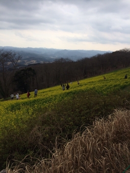 f:id:sakuma-akihiro:20190808173251j:plain