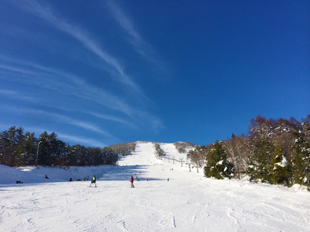 f:id:sakuma-akihiro:20191118115615j:plain