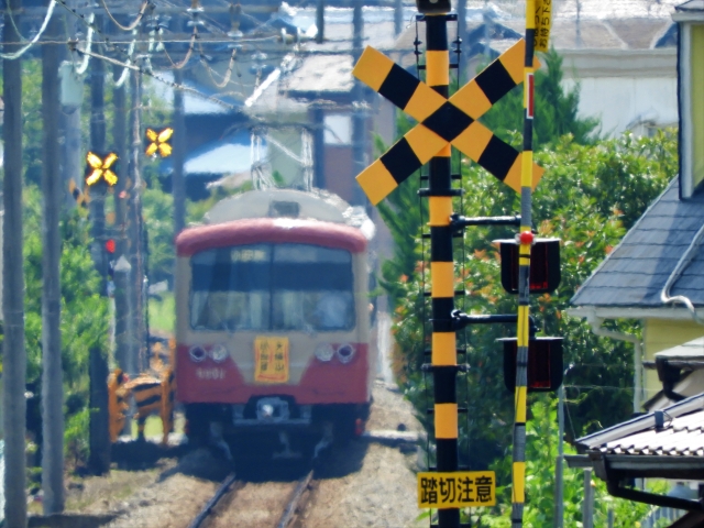 f:id:sakuma-akihiro:20191204223806j:plain f:id:sakuma-akihiro:20191204223806j:plain