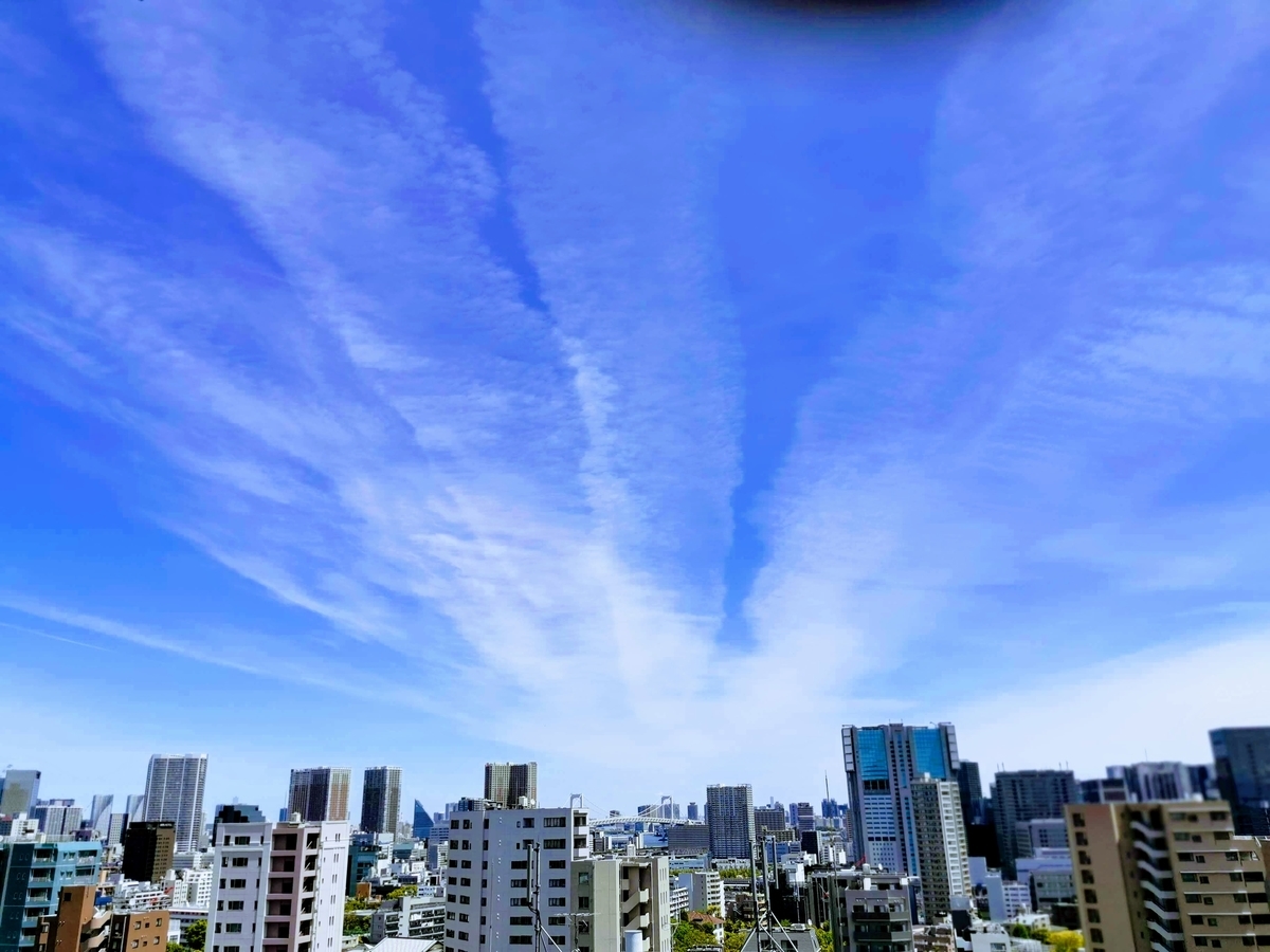 f:id:sakumania1220:20190524112820j:plain f:id:sakumania1220:20190524112820j:plain