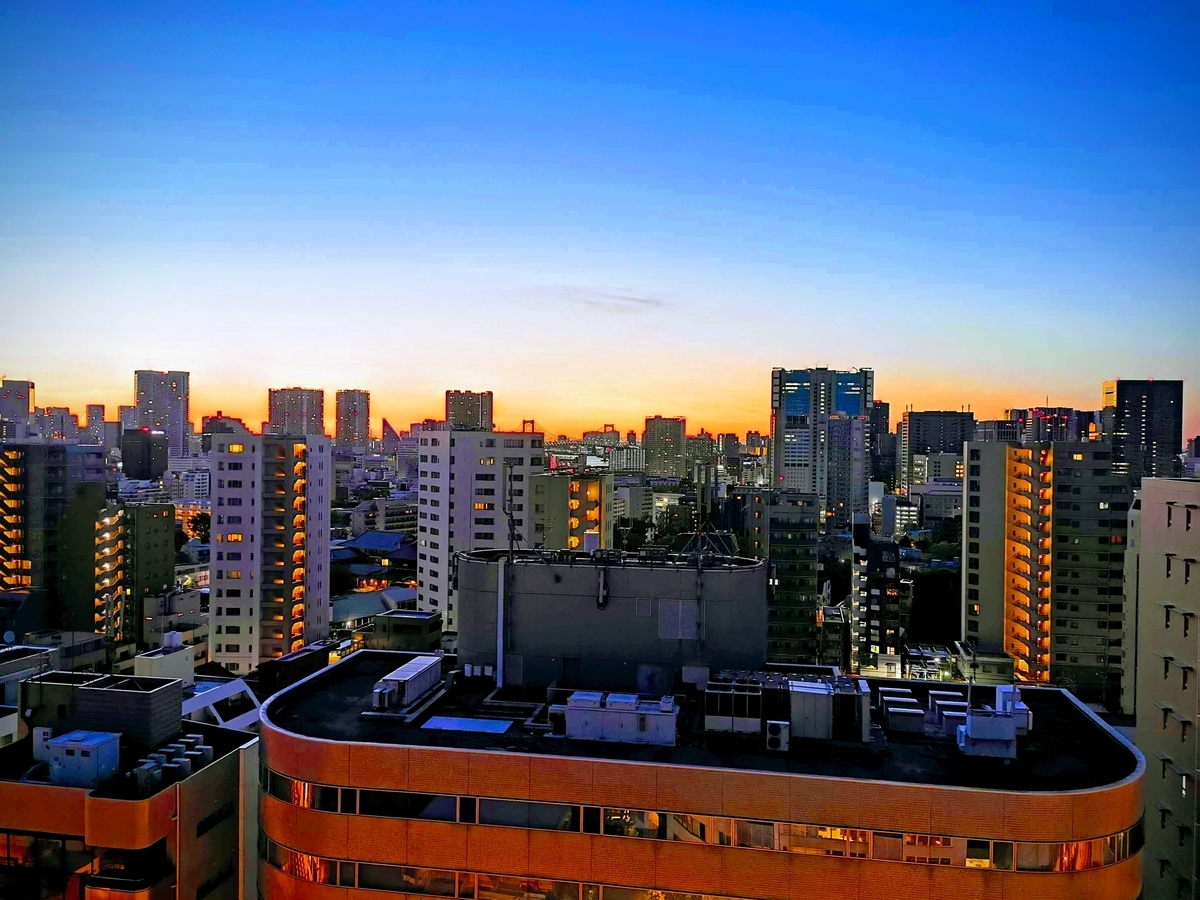 f:id:sakumania1220:20190524112900j:plain f:id:sakumania1220:20190524112900j:plain