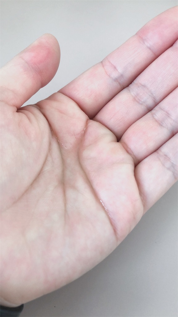 f:id:sakumaron:20190415072252j:image f:id:sakumaron:20190415072252j:image