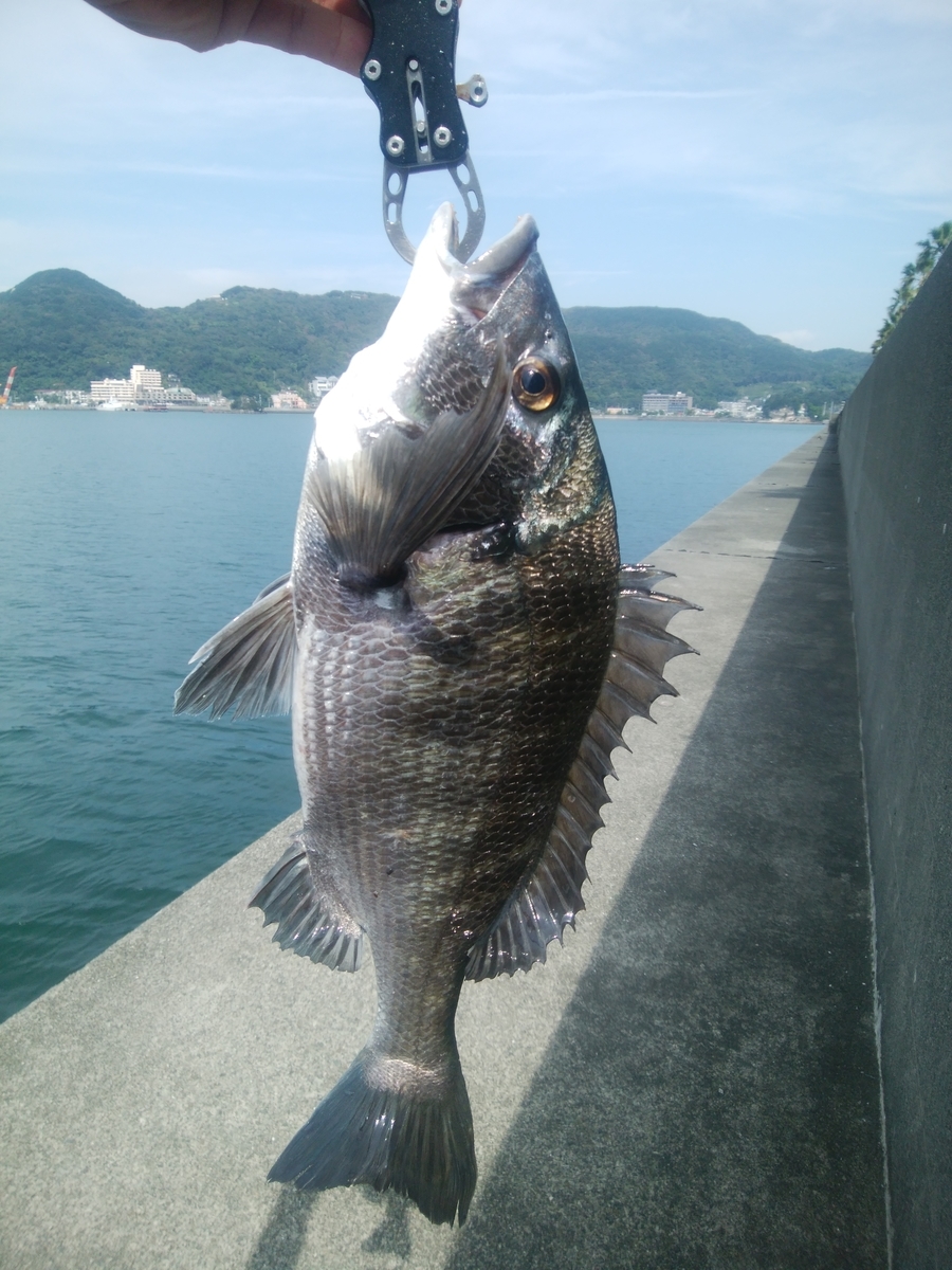 f:id:sakumi3:20190928152926j:plain f:id:sakumi3:20190928152926j:plain