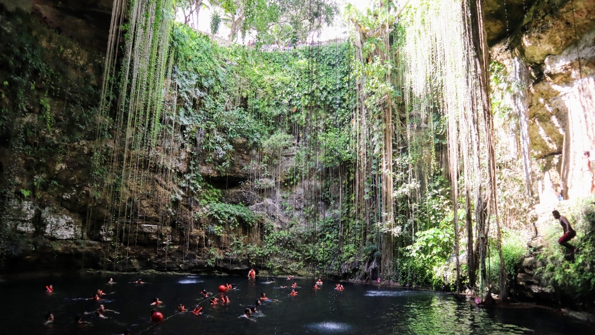 f:id:sakura-Liu:20191104223014j:plain