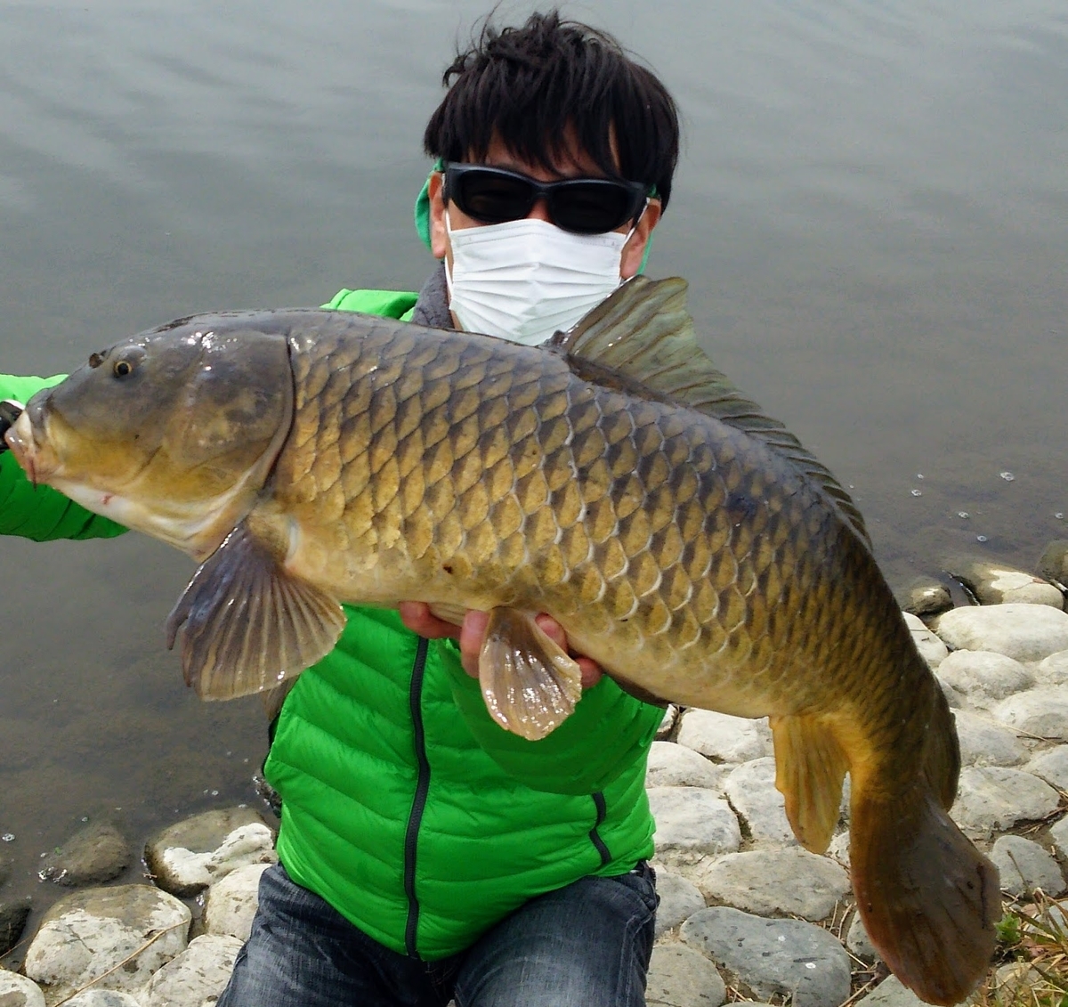 マルタウグイを釣った 多摩川編 いつでも自然がそばにいる マルタウグイを釣った 多摩川編 いつでも自然がそばにいる
