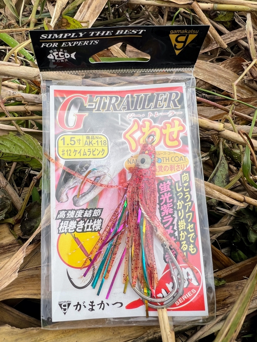 鮭釣りの魅力とルアー釣り - いつでも自然がそばにいる