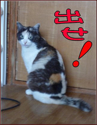 イメージ 1