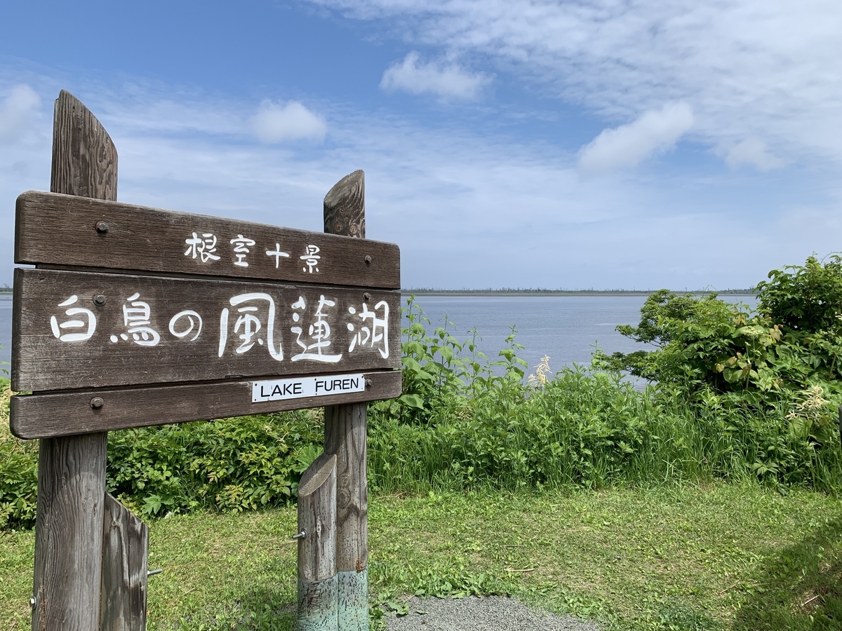 f:id:sakura-design:20190630204321j:plain f:id:sakura-design:20190630204321j:plain