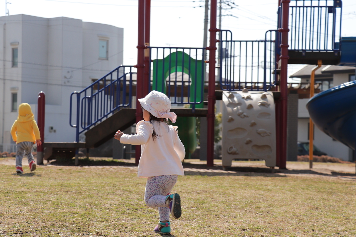 f:id:sakura-mirai:20190322085206j:plain