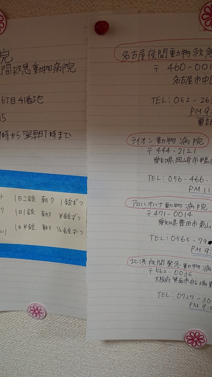 f:id:sakura1105:20210215081735j:plain