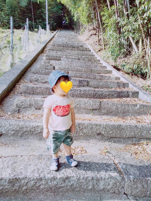 f:id:sakura1389:20200518110314j:image f:id:sakura1389:20200518110314j:image
