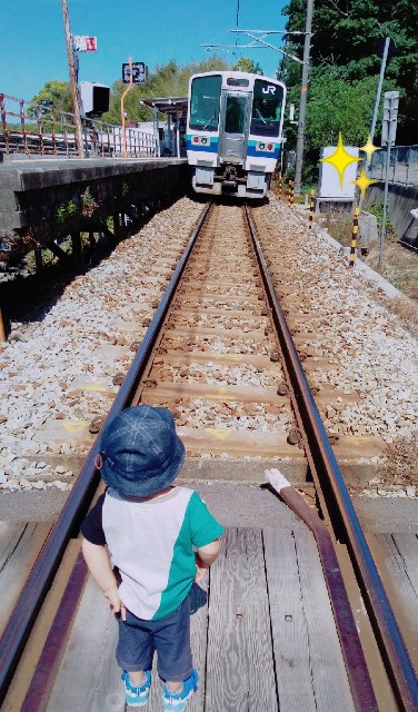 f:id:sakura1389:20200523170226j:image f:id:sakura1389:20200523170226j:image