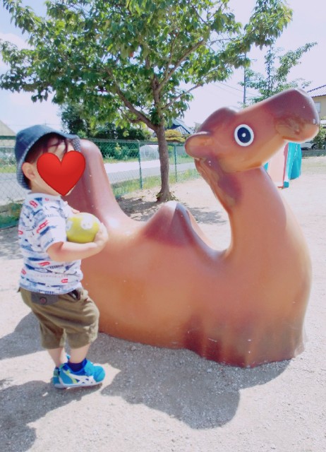 f:id:sakura1389:20200523171624j:image f:id:sakura1389:20200523171624j:image