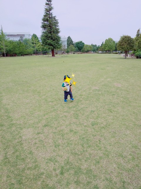 f:id:sakura1389:20200526132204j:image f:id:sakura1389:20200526132204j:image