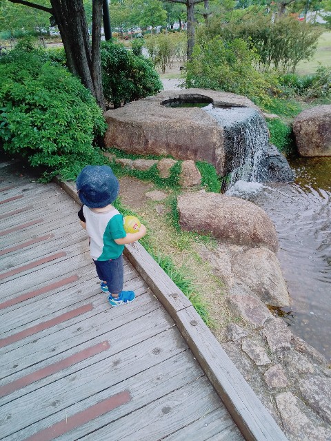 f:id:sakura1389:20200526134125j:image f:id:sakura1389:20200526134125j:image