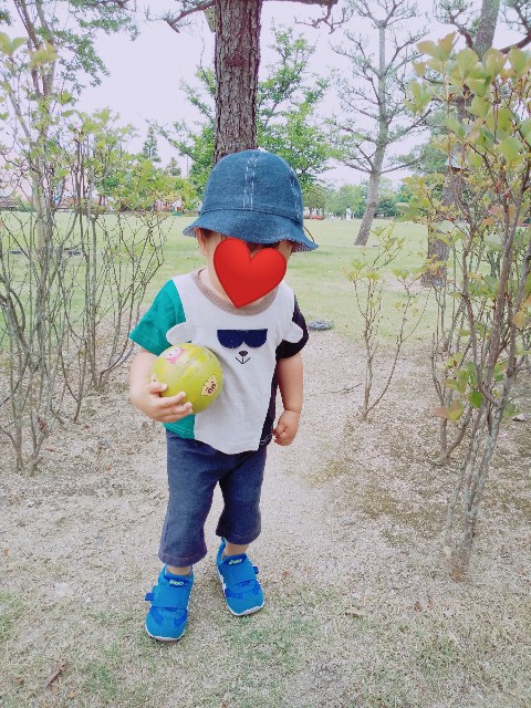 f:id:sakura1389:20200526134148j:image f:id:sakura1389:20200526134148j:image