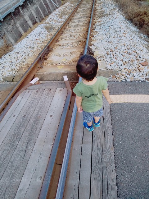 f:id:sakura1389:20200528175511j:image f:id:sakura1389:20200528175511j:image