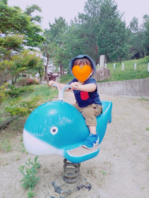 f:id:sakura1389:20200608122302j:image f:id:sakura1389:20200608122302j:image