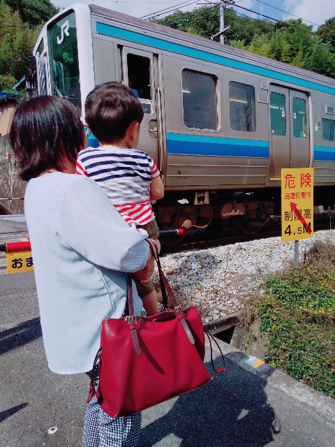 f:id:sakura1389:20200702144808j:image f:id:sakura1389:20200702144808j:image