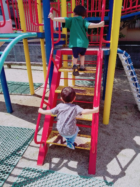 f:id:sakura1389:20200702144831j:image f:id:sakura1389:20200702144831j:image