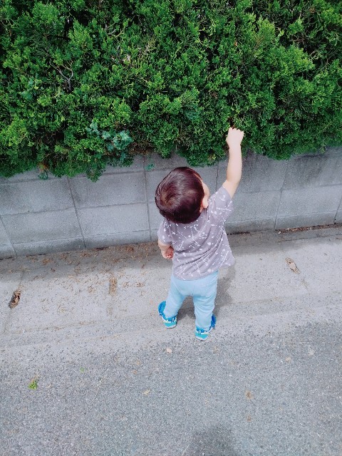 f:id:sakura1389:20200702144840j:image f:id:sakura1389:20200702144840j:image