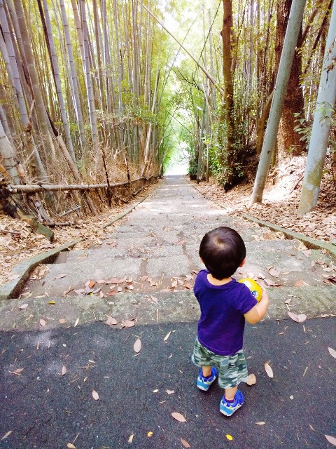 f:id:sakura1389:20200729131245j:image