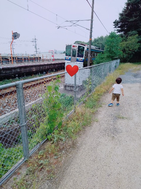 f:id:sakura1389:20200811174523j:image
