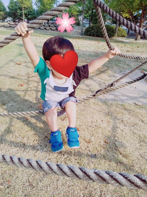 f:id:sakura1389:20200820225235j:image