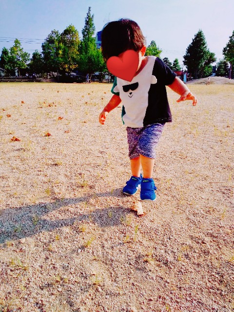 f:id:sakura1389:20200820225500j:image