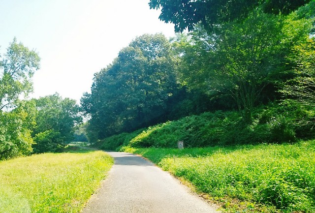 f:id:sakura1389:20200901153614j:image