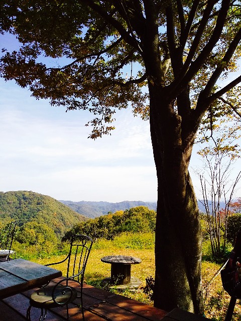 f:id:sakura1389:20201102231310j:image
