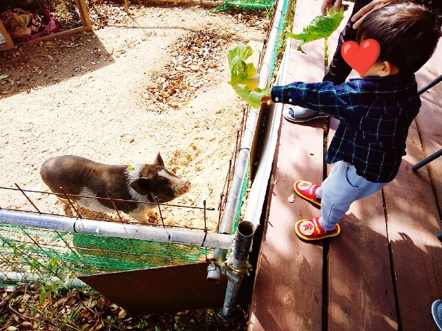 f:id:sakura1389:20201102231328j:image