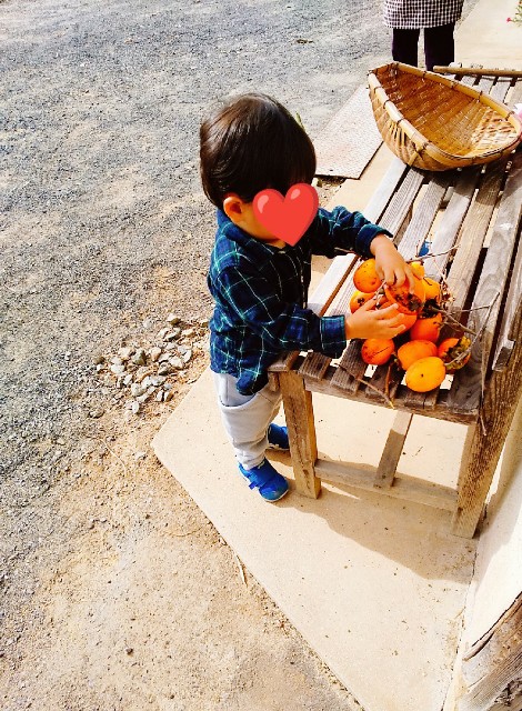 f:id:sakura1389:20201102231855j:image