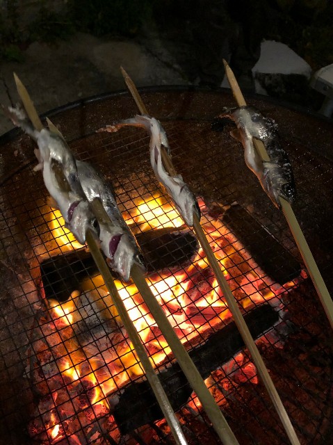 f:id:sakura1389:20201130204147j:image