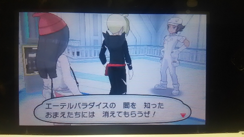 ポケモンムーンプレイ日記 その10 パラダイスとは メグレスのポケモン道