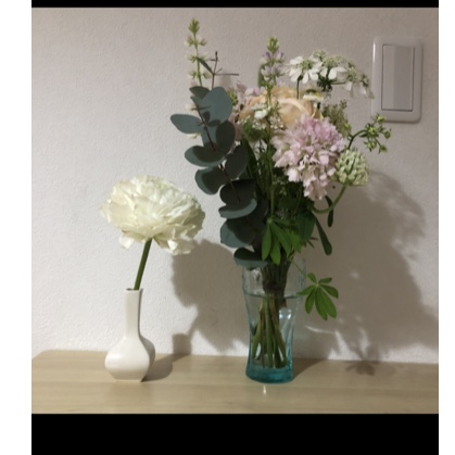 f:id:sakura2024:20220308140616j:plain