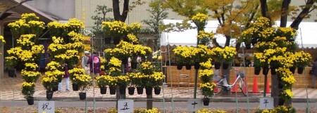 f:id:sakura341516:20081107034029j:image f:id:sakura341516:20081107034029j:image