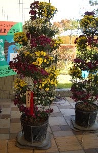 f:id:sakura341516:20081107035819j:image f:id:sakura341516:20081107035819j:image