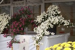 f:id:sakura341516:20081107041811j:image f:id:sakura341516:20081107041811j:image
