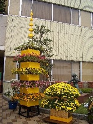 f:id:sakura341516:20081107044502j:image:left f:id:sakura341516:20081107044502j:image:left